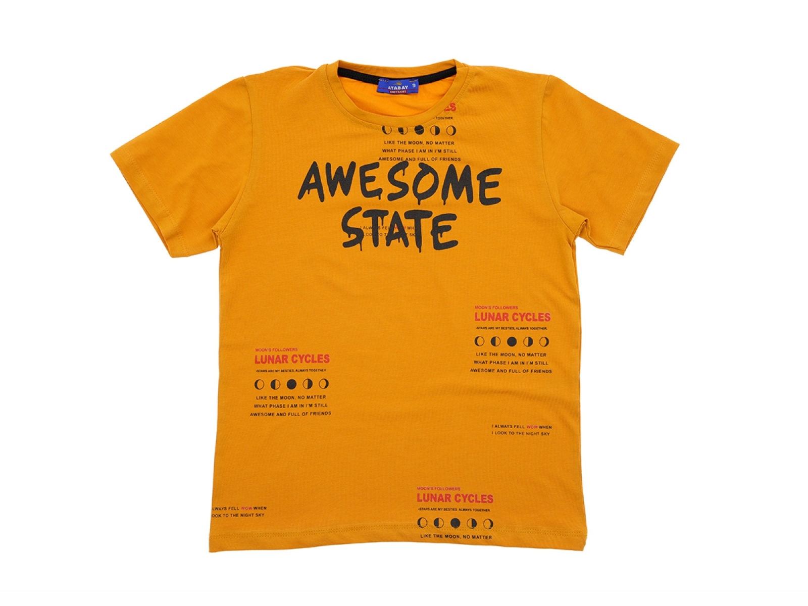 5/8 YAŞ ERKEK TSHIRT AWESOME STATE BASKILI