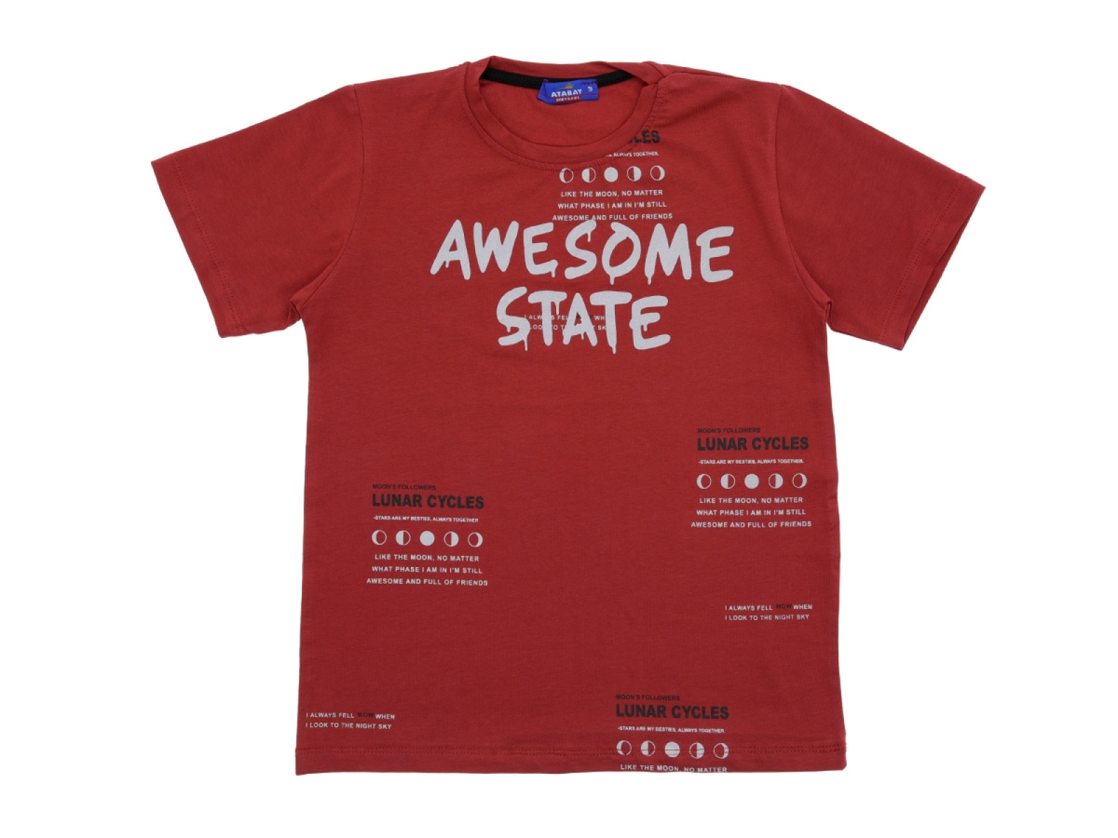 9/12 YAŞ ERKEK TSHIRT AWESOME STATE BASKILI