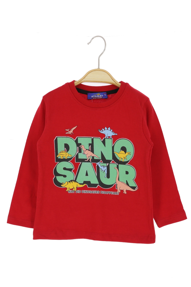 1/4 YAŞ ERKEK BLUZ DINOSAUR