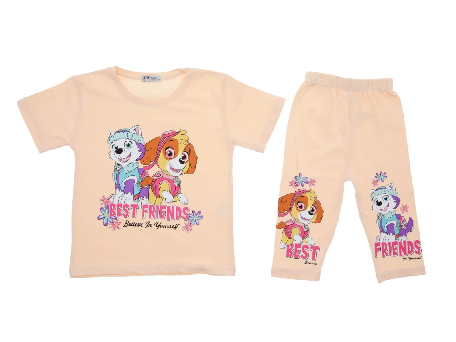 3/6 YAŞ KIZ TAKIM TAYTLI PAW PATROL BEST FRIENDS BASKILI