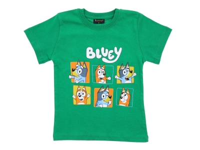 3/6 YAŞ ERK TSHİRT BLUEY BASKILI